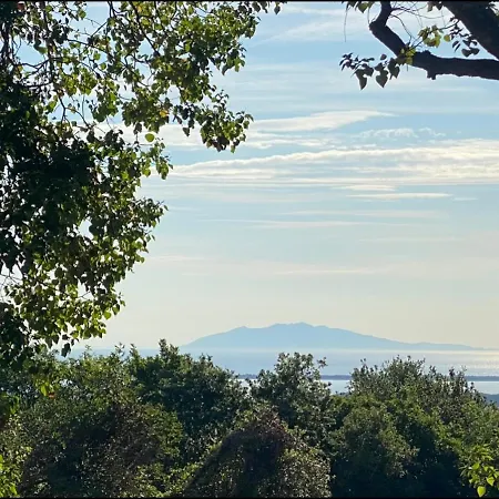 Les Des Iles Borgo (Corsica)